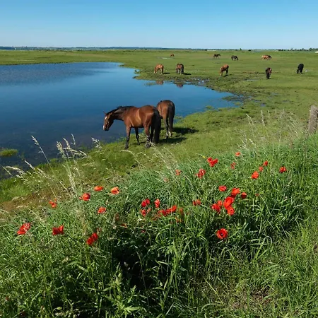 Fip Park Gollin Insel Poel